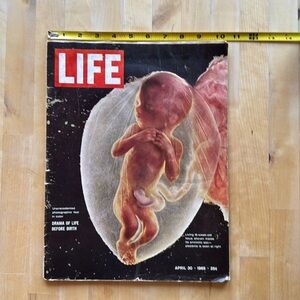 Vintage LIFE Magazine Cover